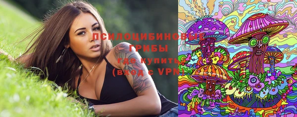 тгк Медвежьегорск