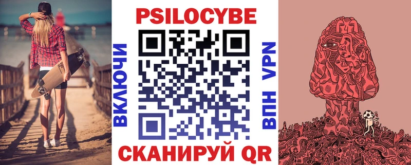 где купить наркоту  Мензелинск  Псилоцибиновые грибы мицелий 